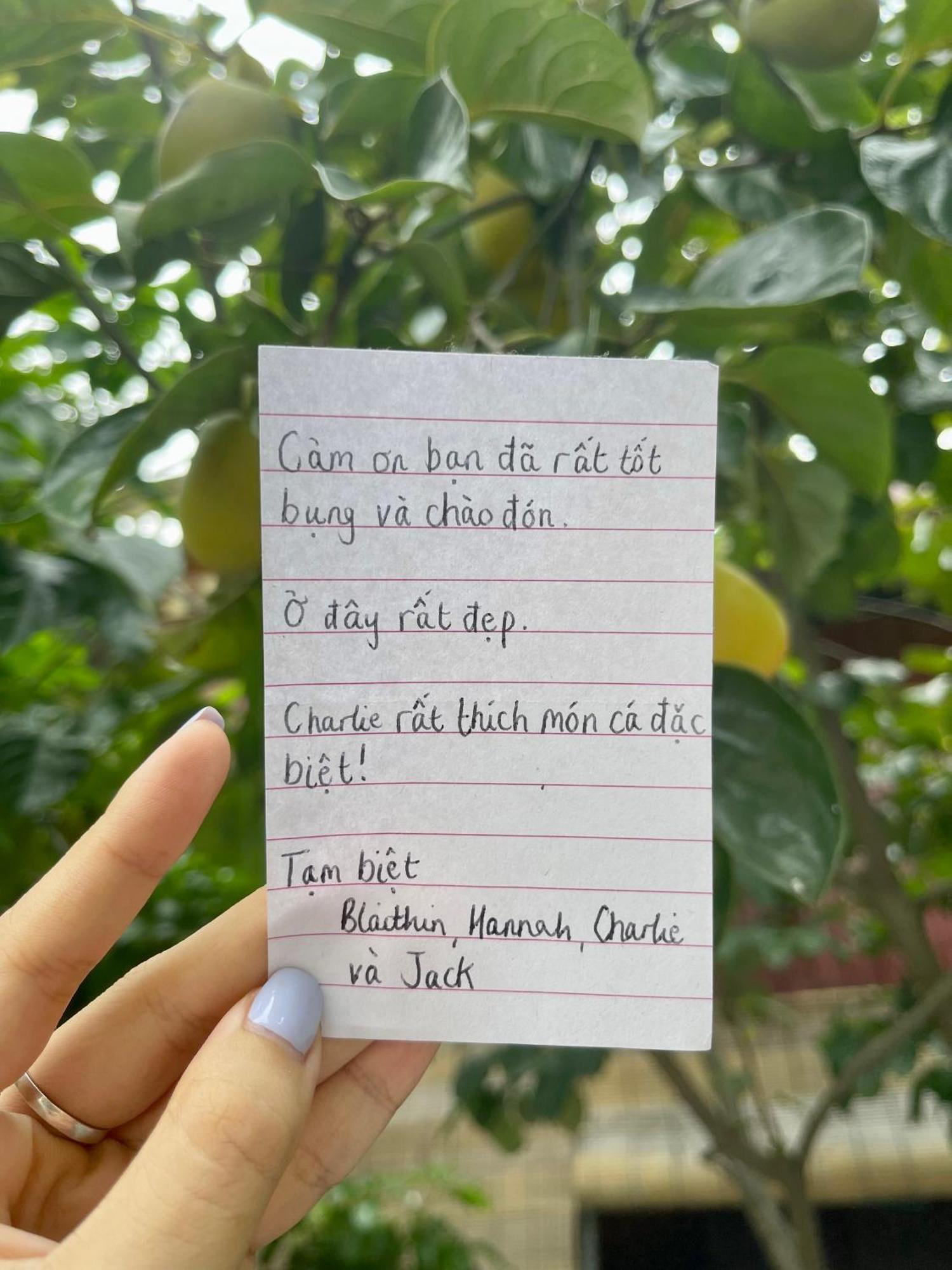 Trang An Memory Homestay Ninh Bình Ngoại thất bức ảnh